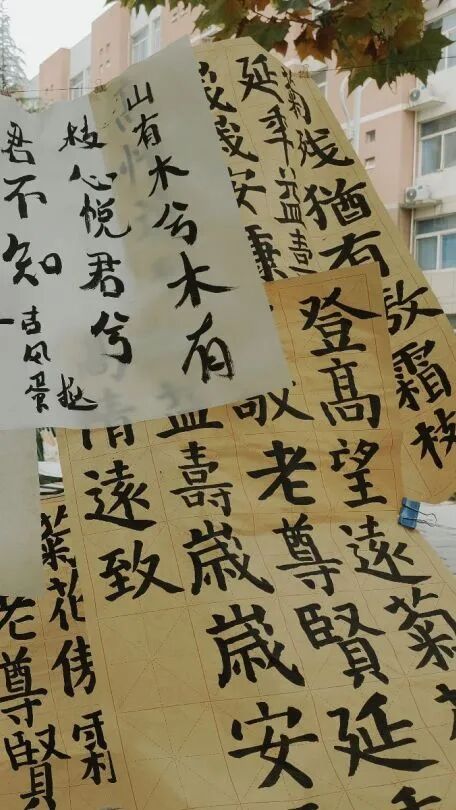 1762738276992311.jpg 22.jpg