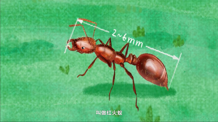 1776215309179615.png 微信图片_2026-04-15_084928_858.png